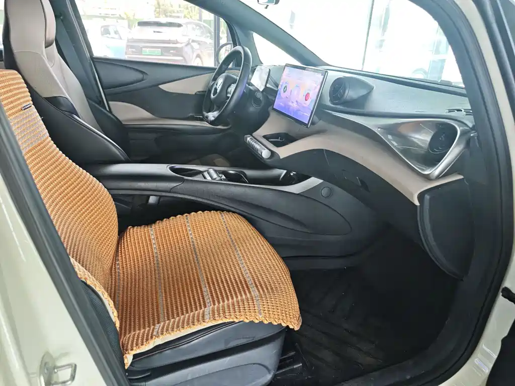 BYD Dolphin 2023 420km Fashion