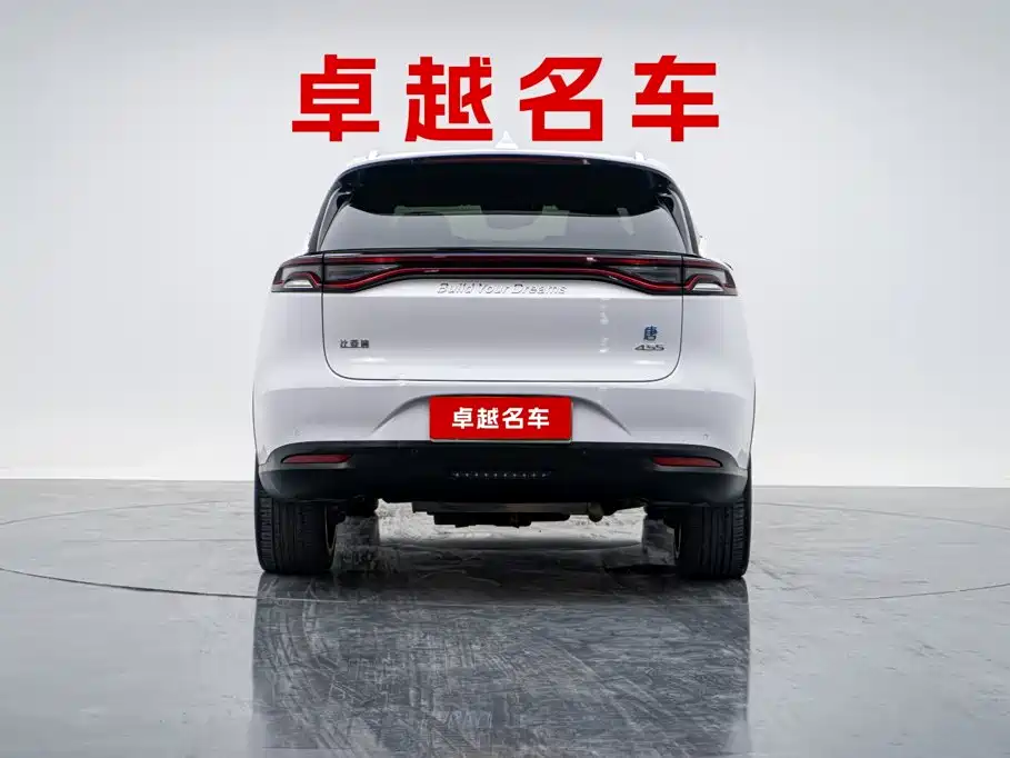 BYD Tang New Energy — миниатюра 2