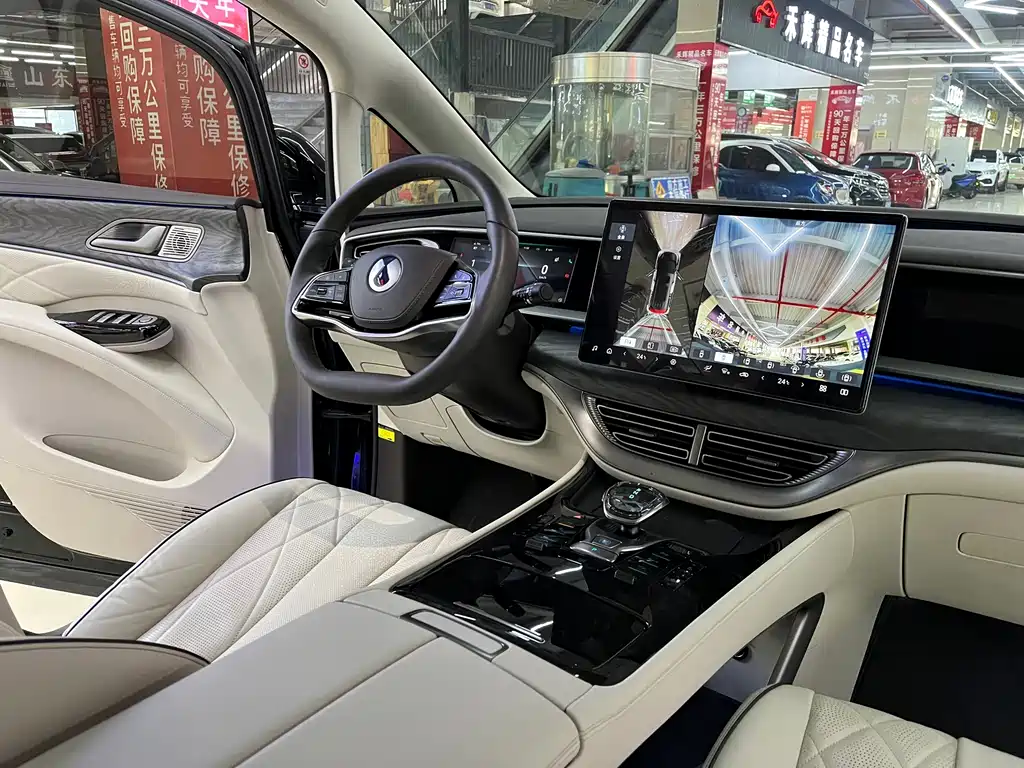 Denza Denza D9 — миниатюра 4