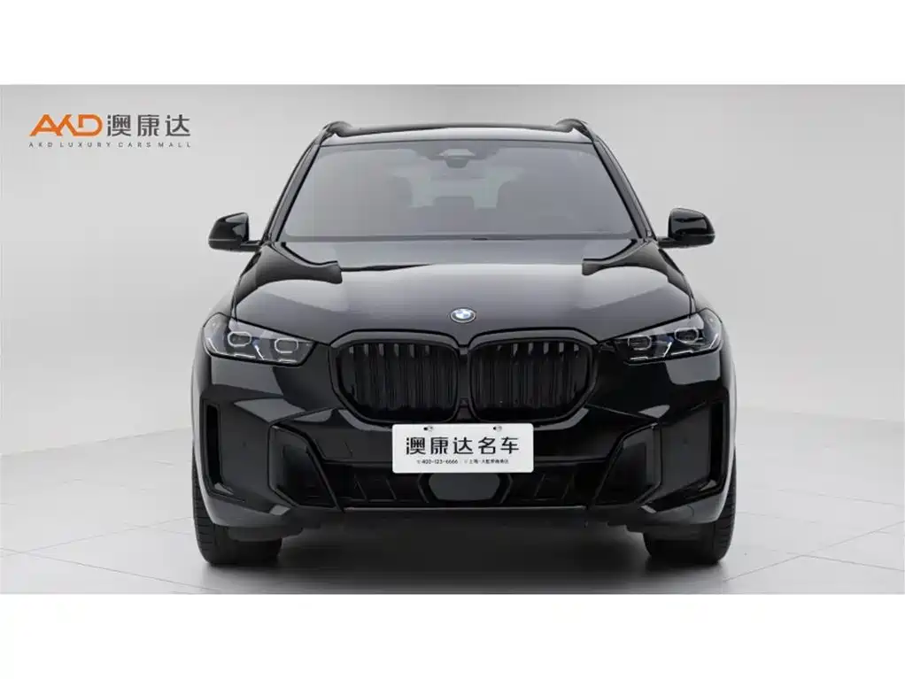 BMW X5 — миниатюра 2
