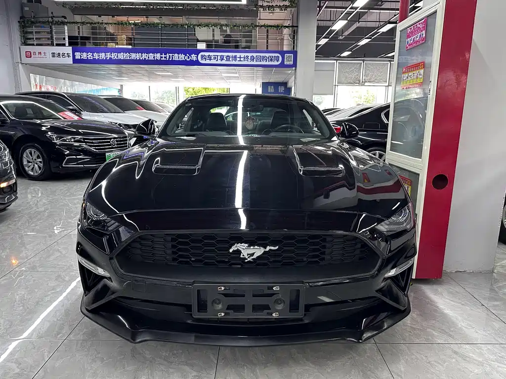 Ford Mustang — миниатюра 2