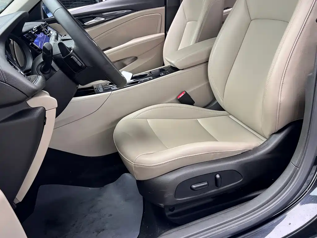 Buick Regal — миниатюра 10