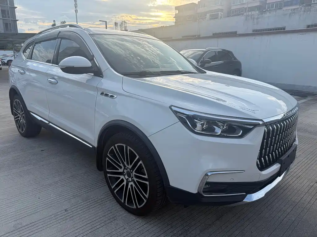 Leopaard Mattu — миниатюра 3