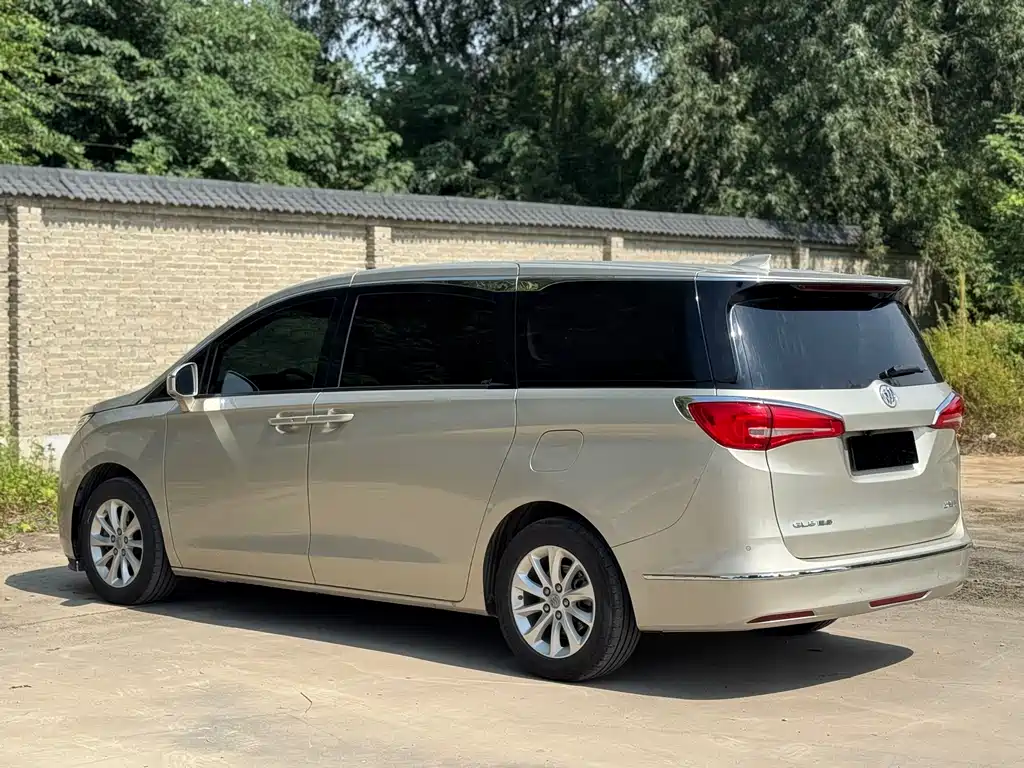 Buick GL8 — миниатюра 6