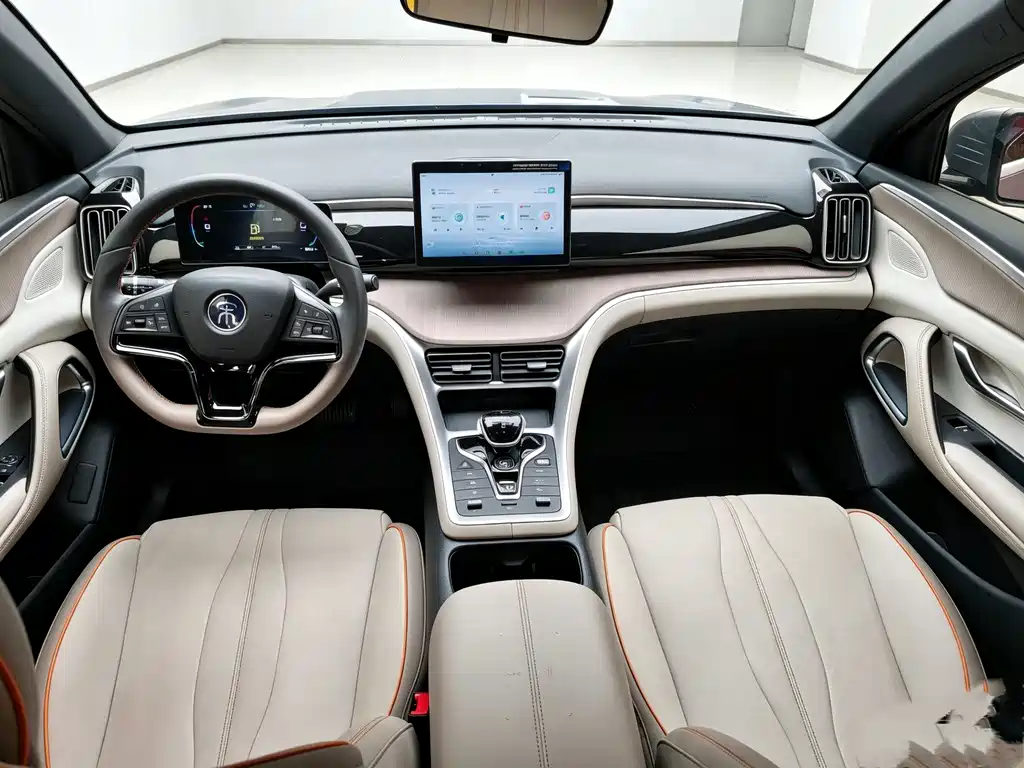 BYD Pro New Energy — миниатюра 4