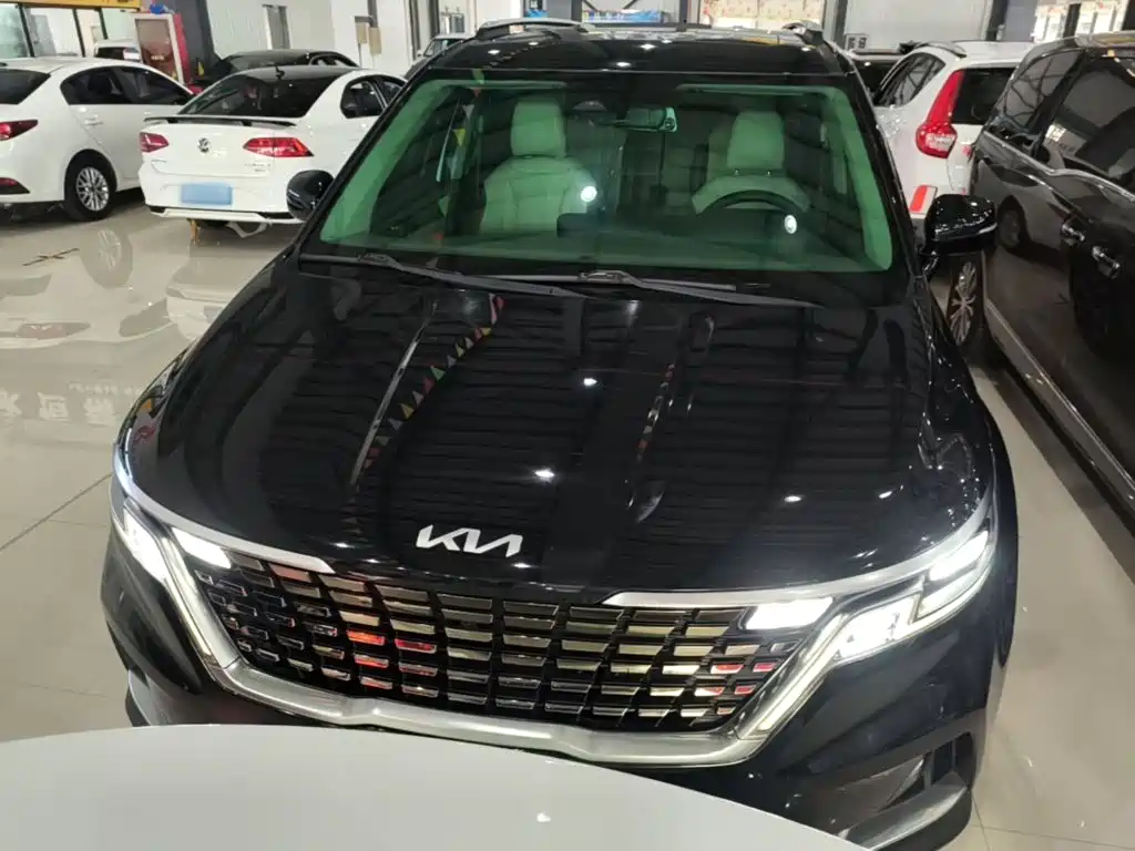 Kia Carnival — миниатюра 3