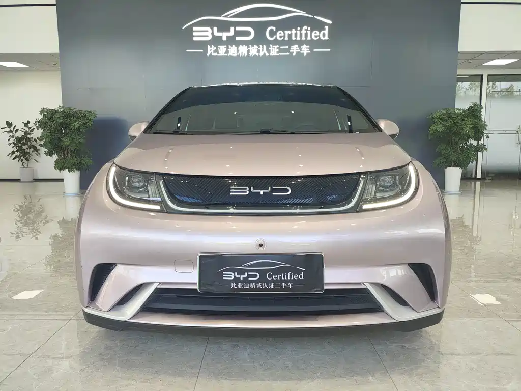 BYD Dolphin — миниатюра 2