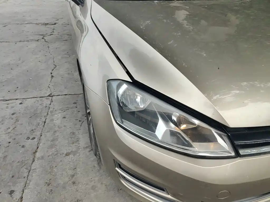 Volkswagen Golf — миниатюра 11