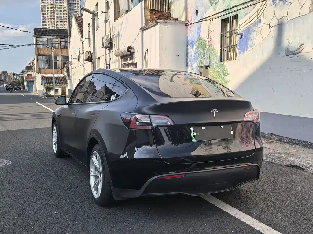 Tesla Model Y — миниатюра 12