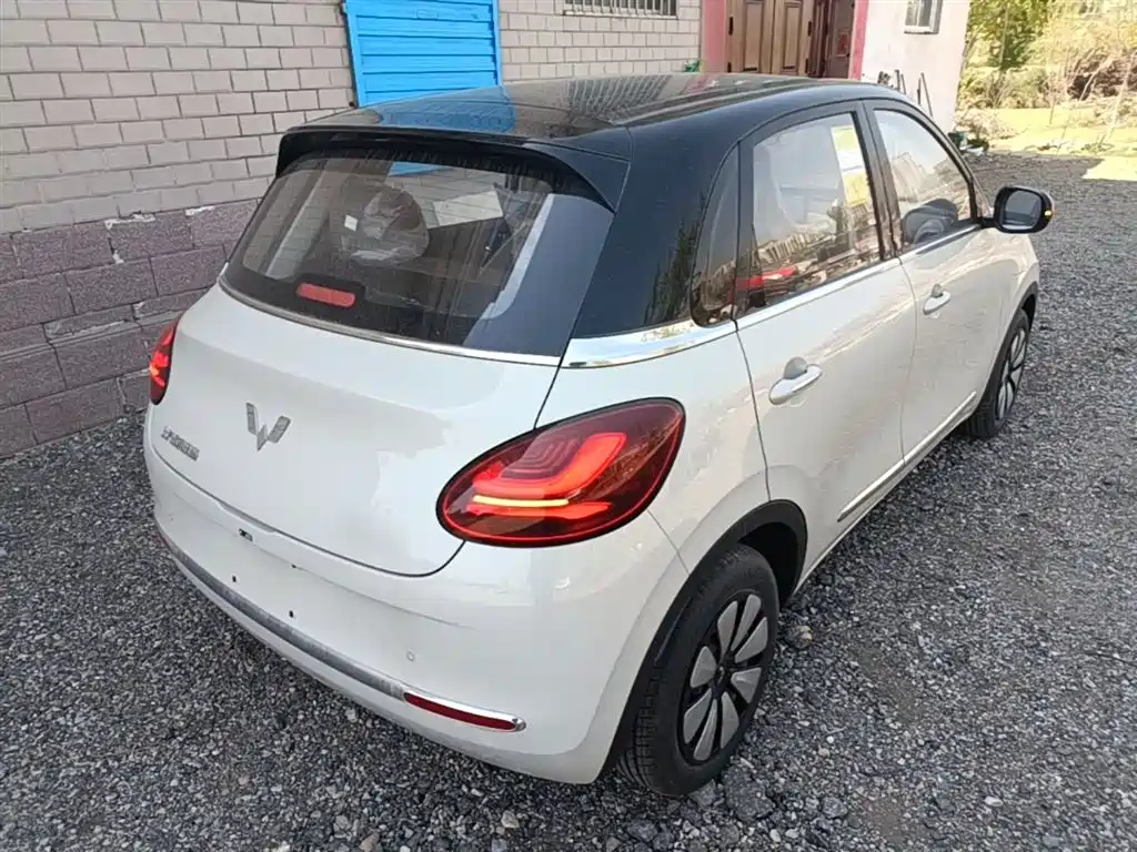 Wuling Binguo 2025 333km