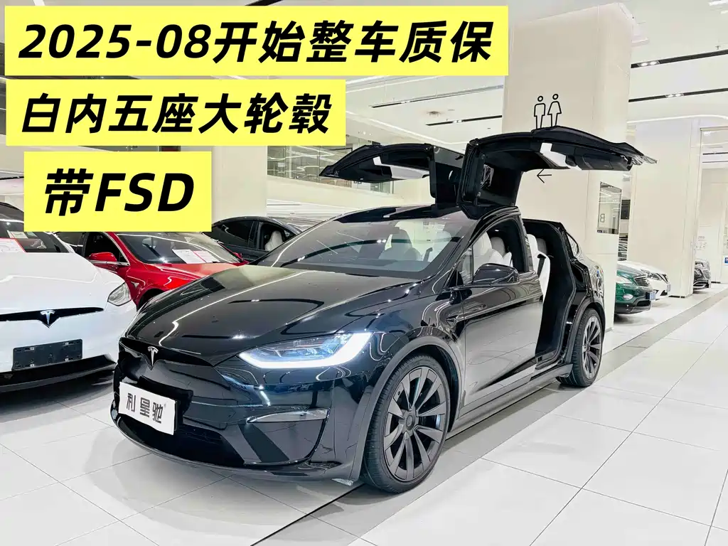 Tesla Model X — миниатюра 2