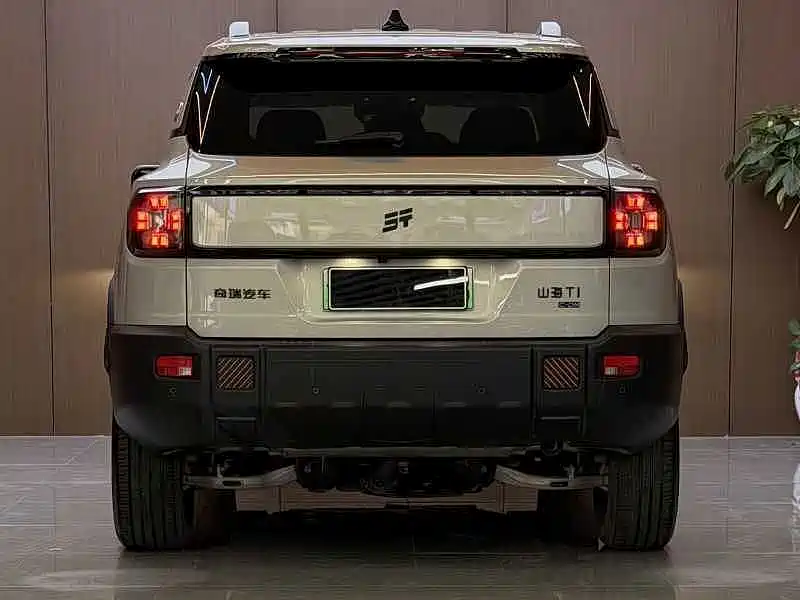 Shanhai Shanhai T1 — миниатюра 5