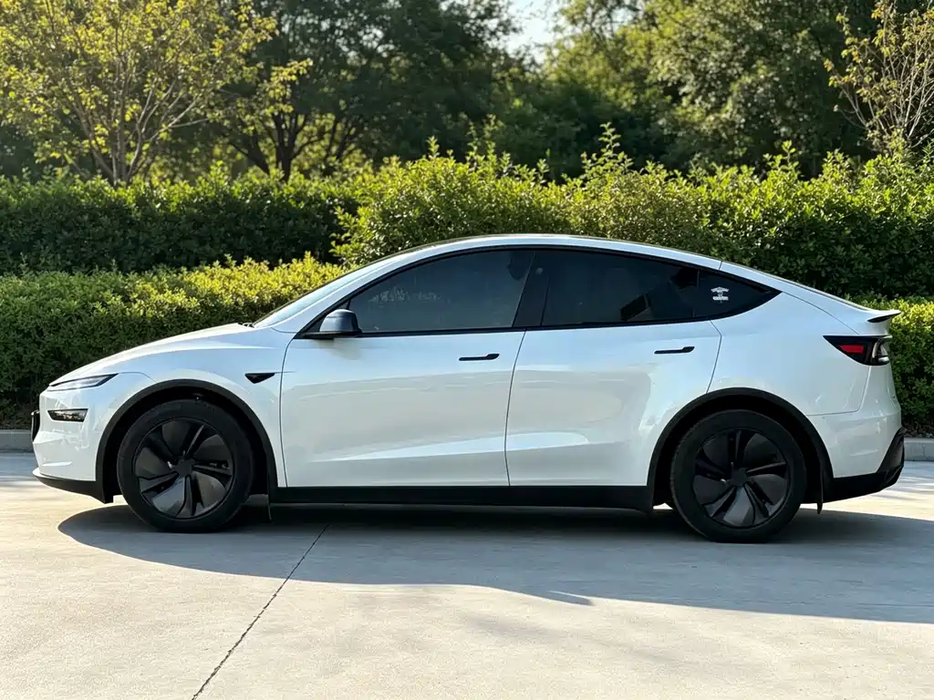 Tesla Model Y — миниатюра 3