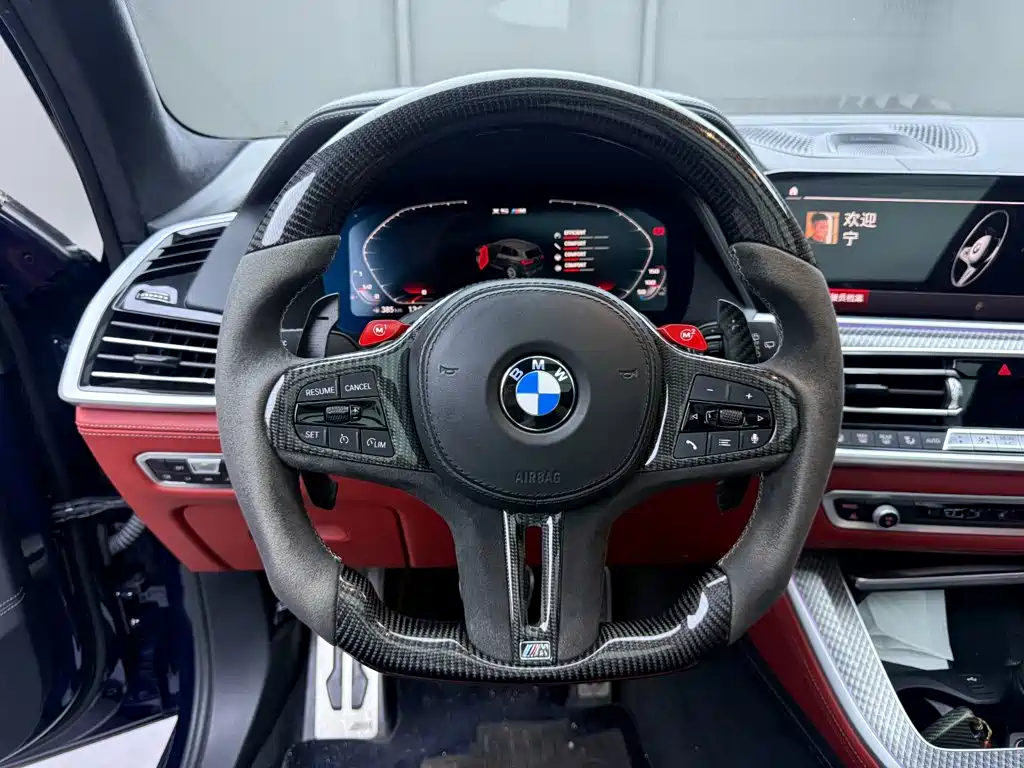 BMW X5 M — миниатюра 22