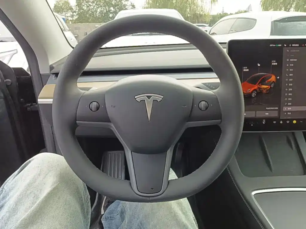 Tesla Model Y — миниатюра 11
