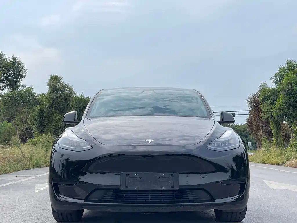 Tesla Model Y — миниатюра 2