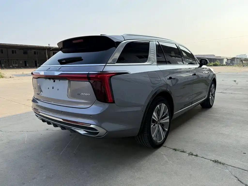 Hongqi E-HS9 2021 460km мест