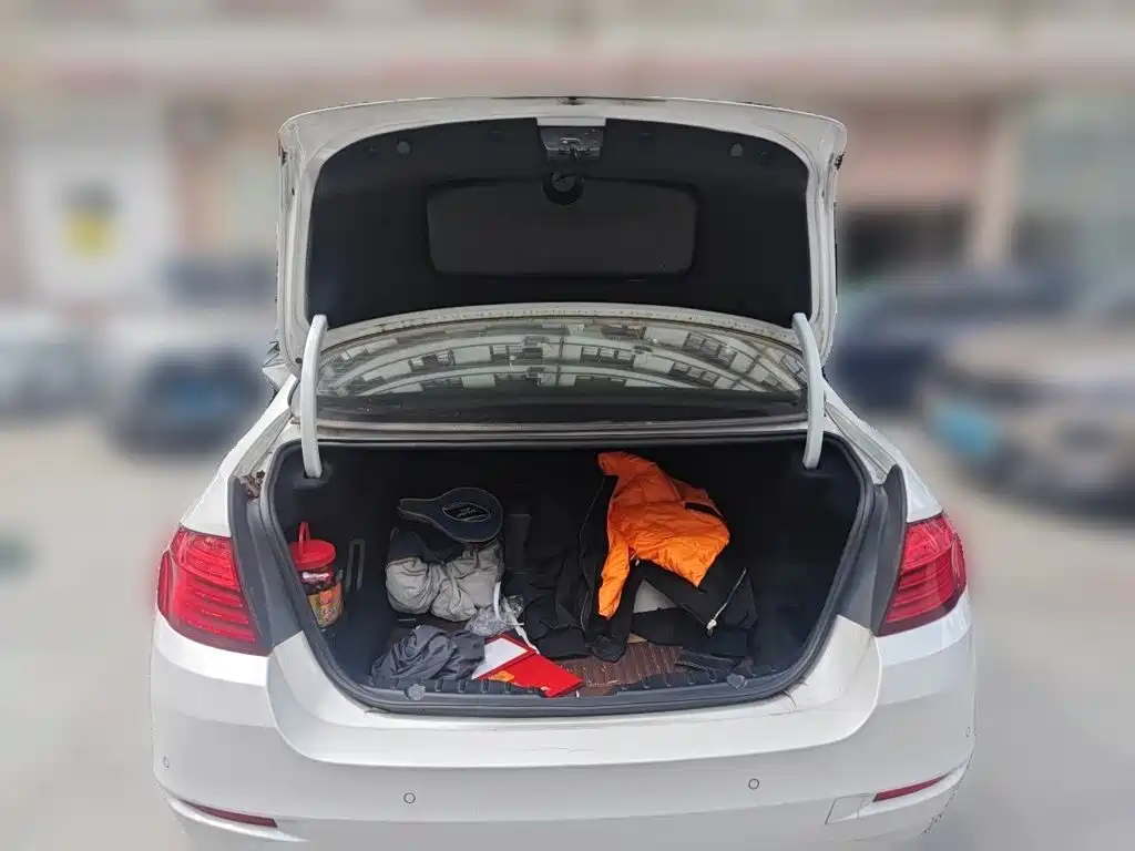 BMW 5 Series — миниатюра 15