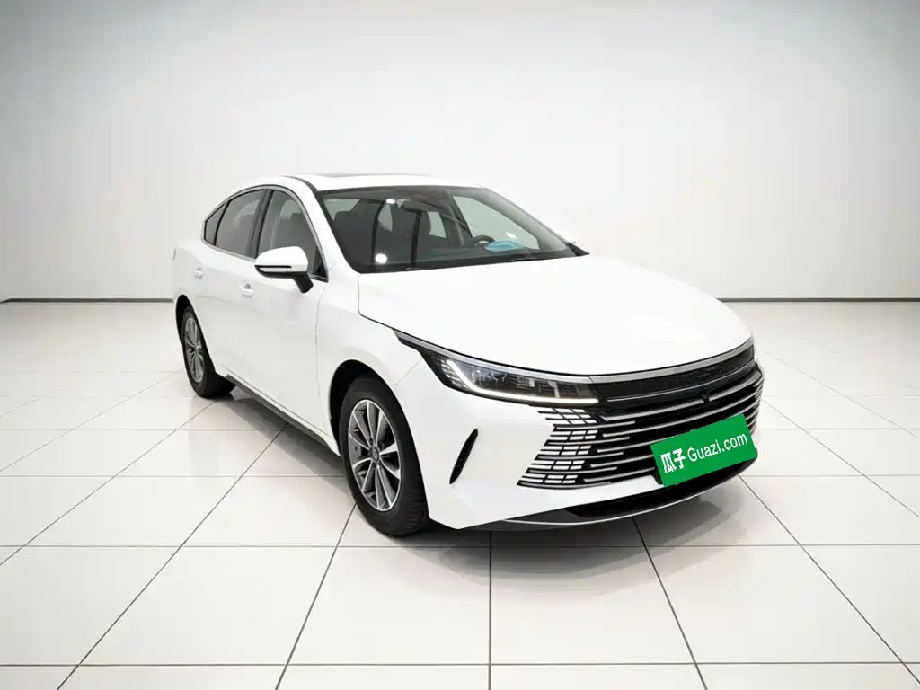 BYD Destroyer 05 — миниатюра 3