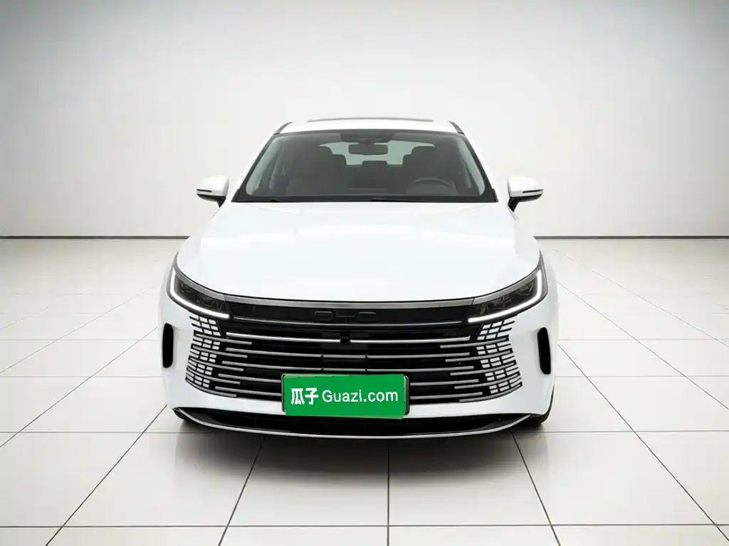 BYD Destroyer 05 — миниатюра 2