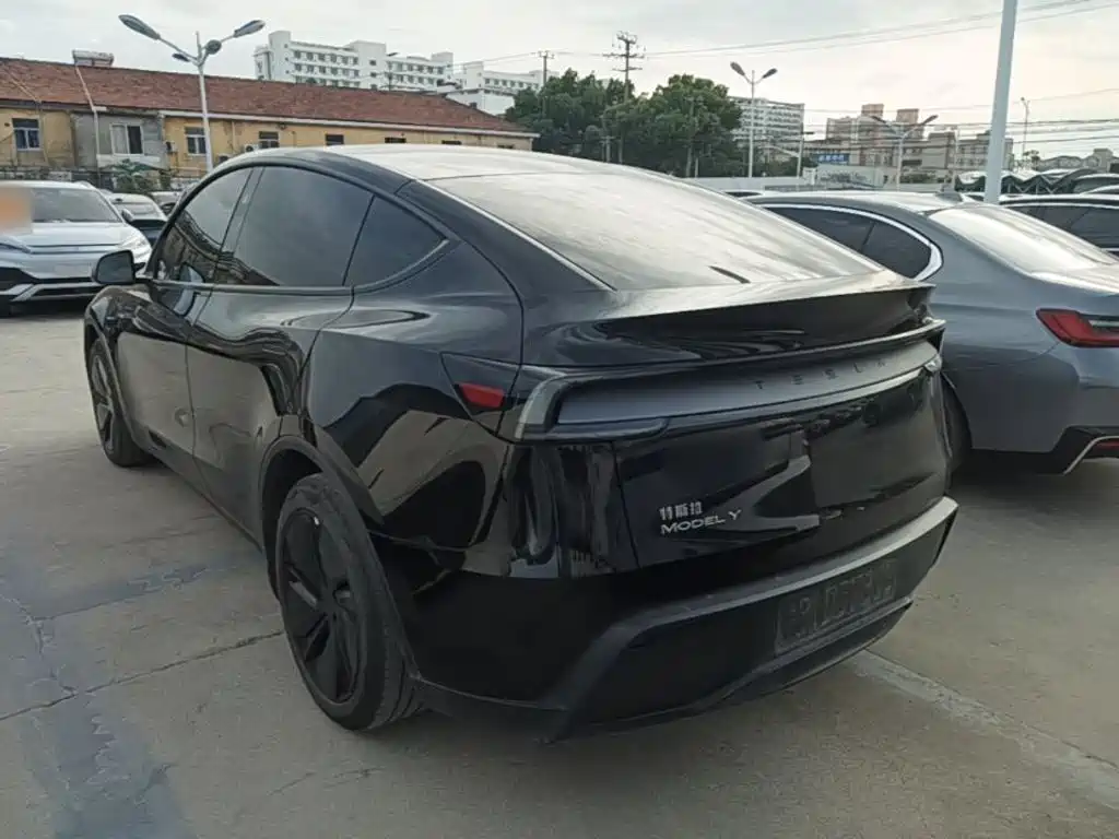 Tesla Model Y — миниатюра 5
