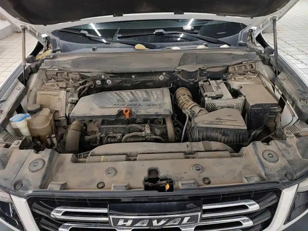 Haval Big Dog — миниатюра 20