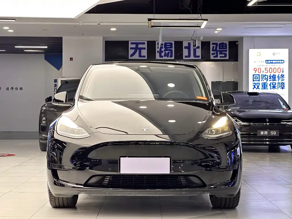 Tesla Model Y — миниатюра 3