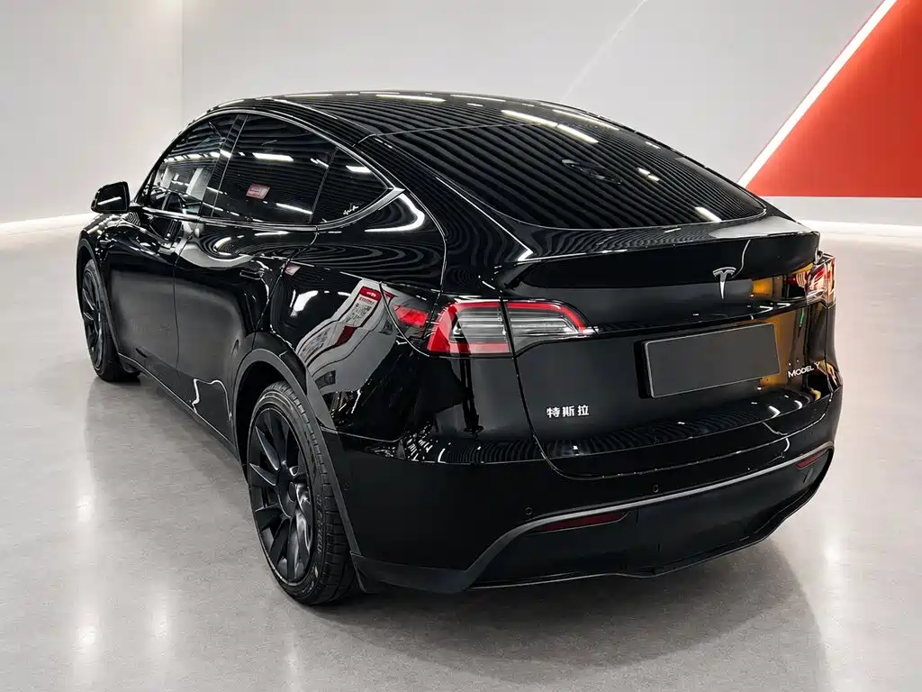 Tesla Model Y — миниатюра 6