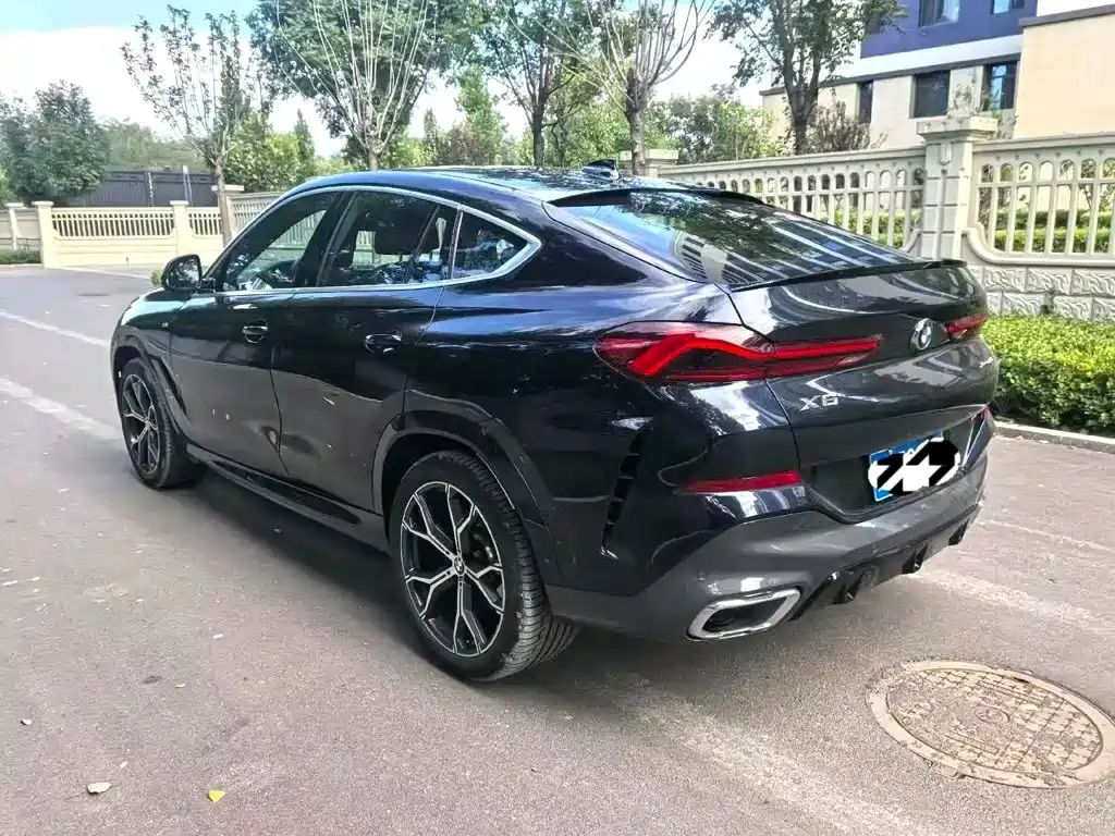 BMW X6 — миниатюра 2