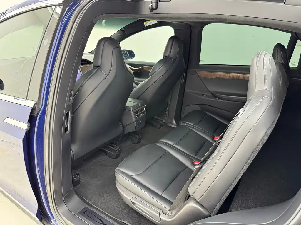 Tesla Model X — миниатюра 15