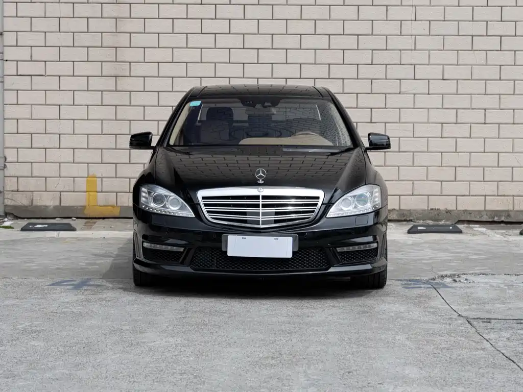 Mercedes-Benz S-Class A MG S AMG 2010 AMG S 65