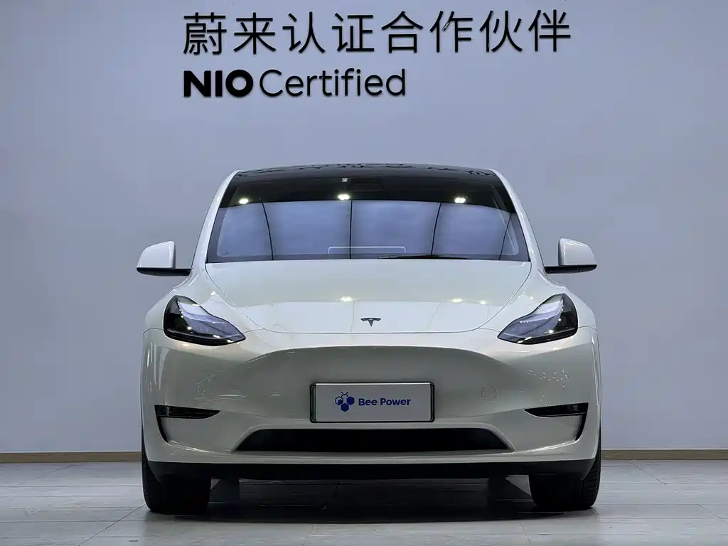Tesla Model Y — миниатюра 2