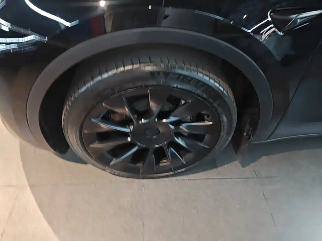 Tesla Model Y — миниатюра 23