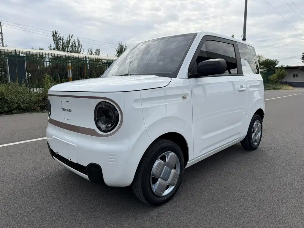 Galaxy Panda