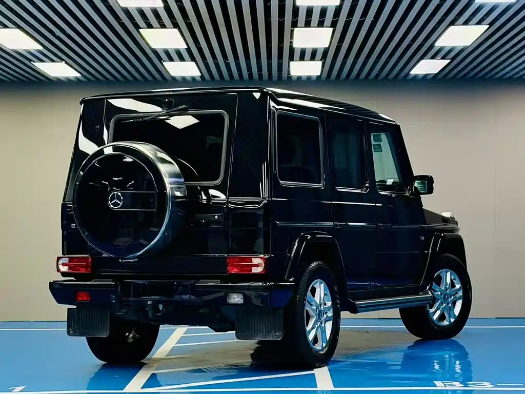Mercedes-Benz G-Class G 2010 G 500
