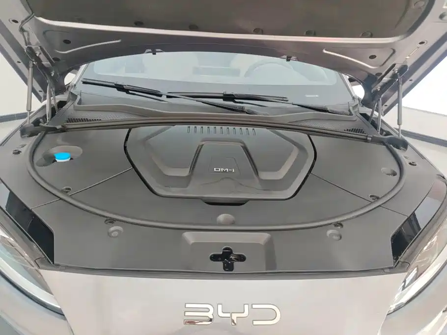 BYD PLUS New Energy — миниатюра 10