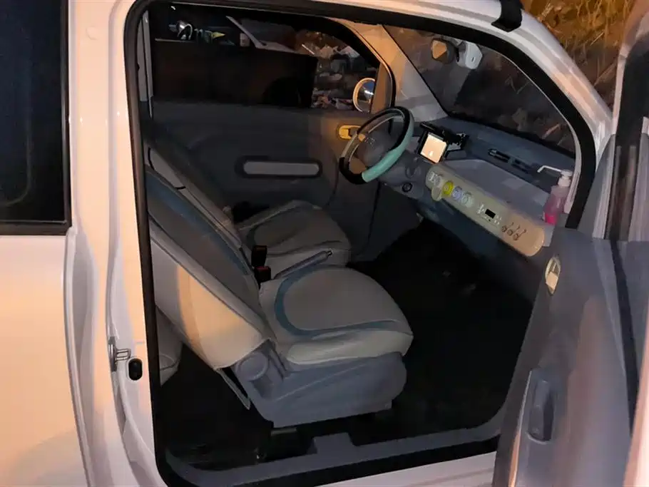 BESTUNE PENTIUM PONY