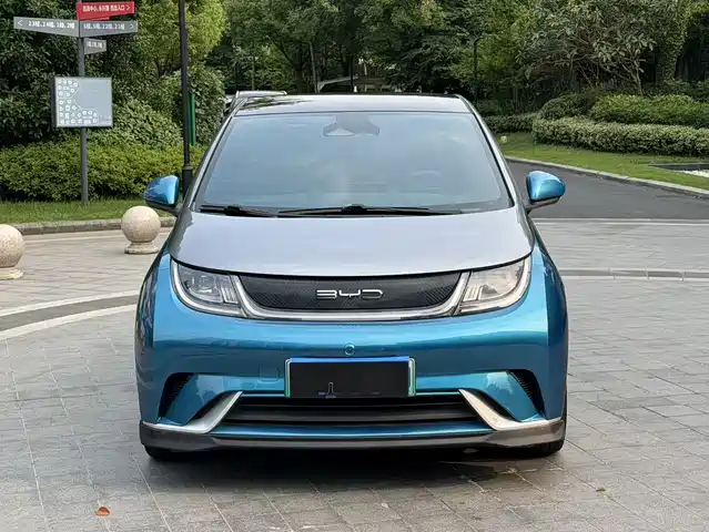 2021 BYD Dolphin
