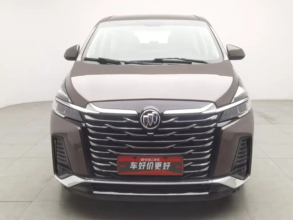 Buick GL8 — миниатюра 3
