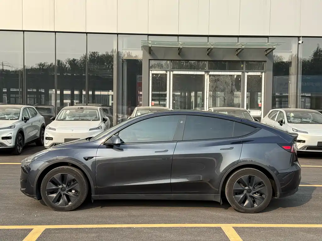 Tesla Model Y — миниатюра 4
