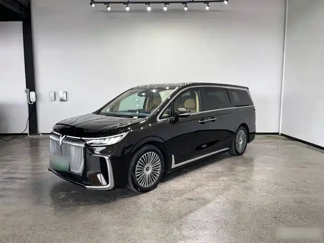 2024 Voyah Dream