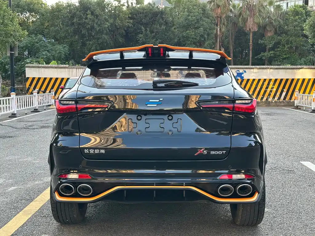 Oshan Oushang X5 — миниатюра 8