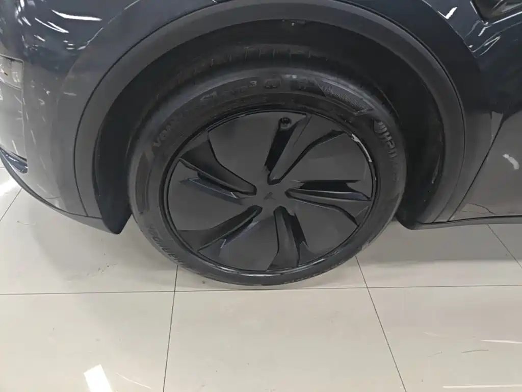 Tesla Model Y — миниатюра 23