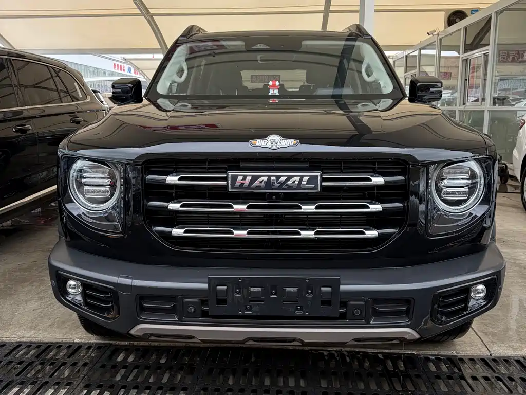 HAVAL BIG DOG