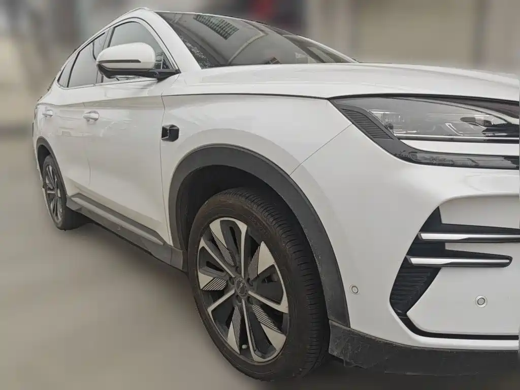 BYD PLUS New Energy — миниатюра 3