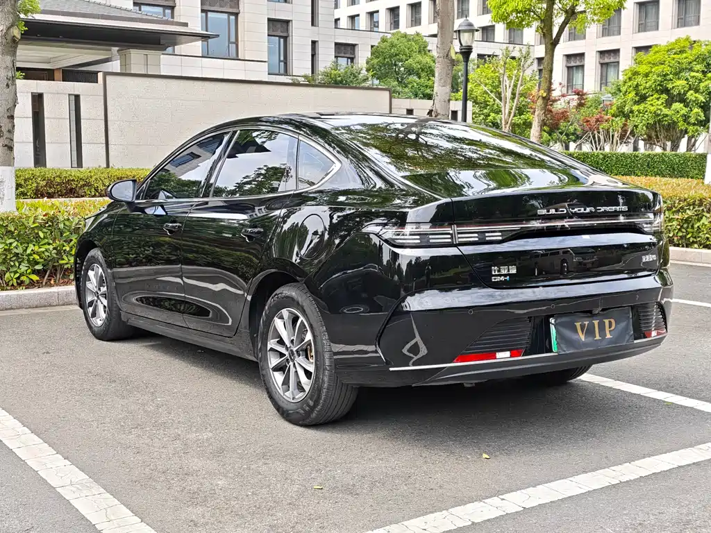 BYD Destroyer 05 2024 DM-i 55KM Luxury