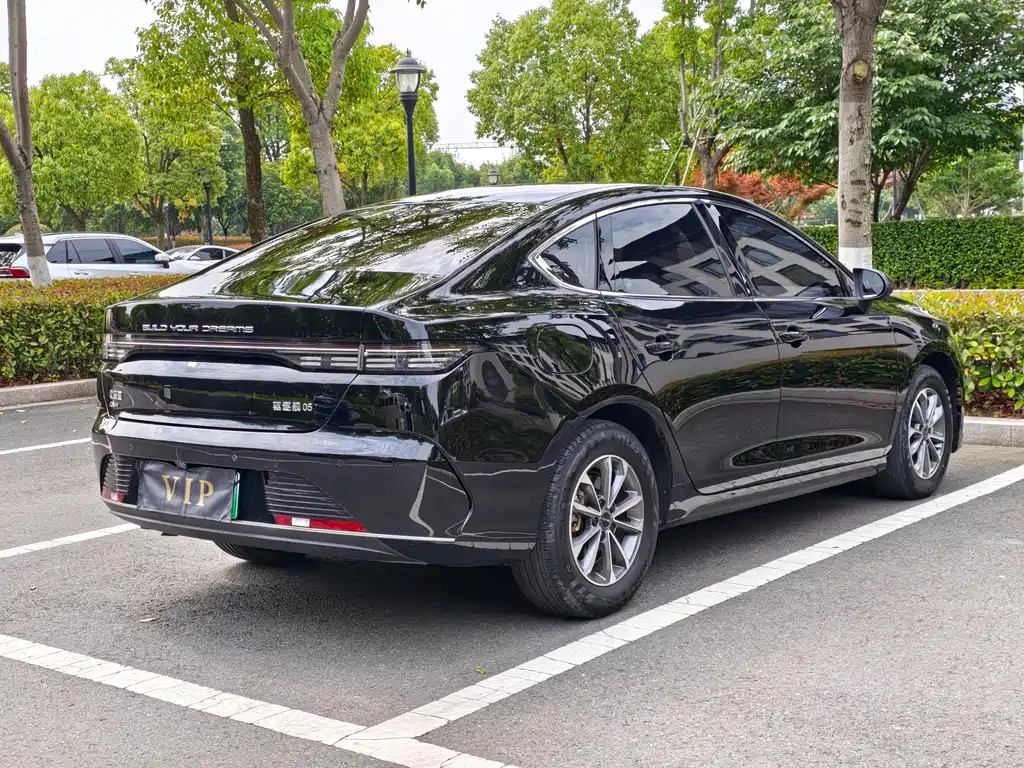 BYD Destroyer 05 2024 DM-i 55KM Luxury