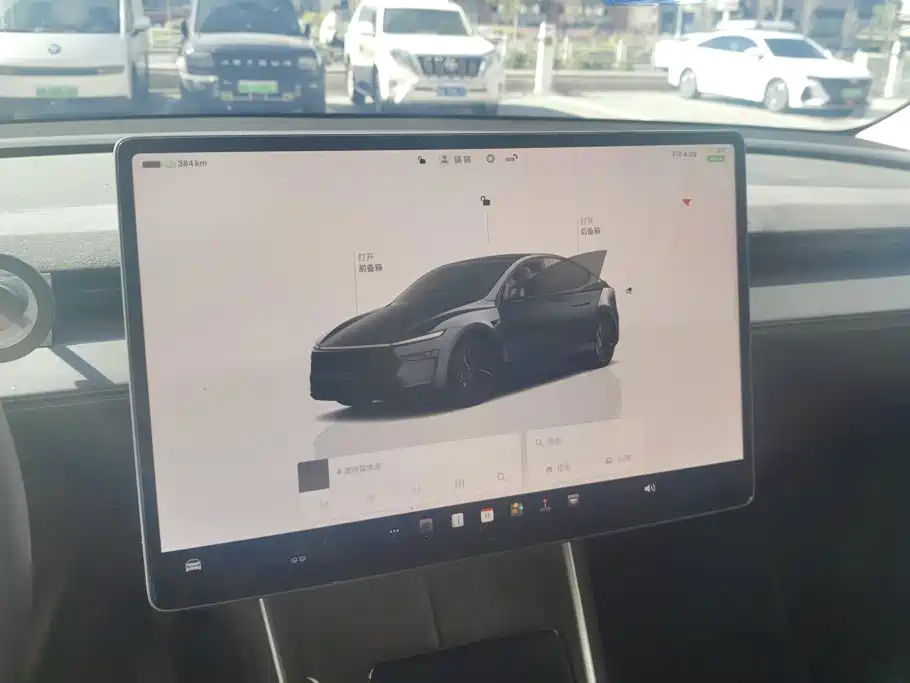 Tesla Model Y — миниатюра 13