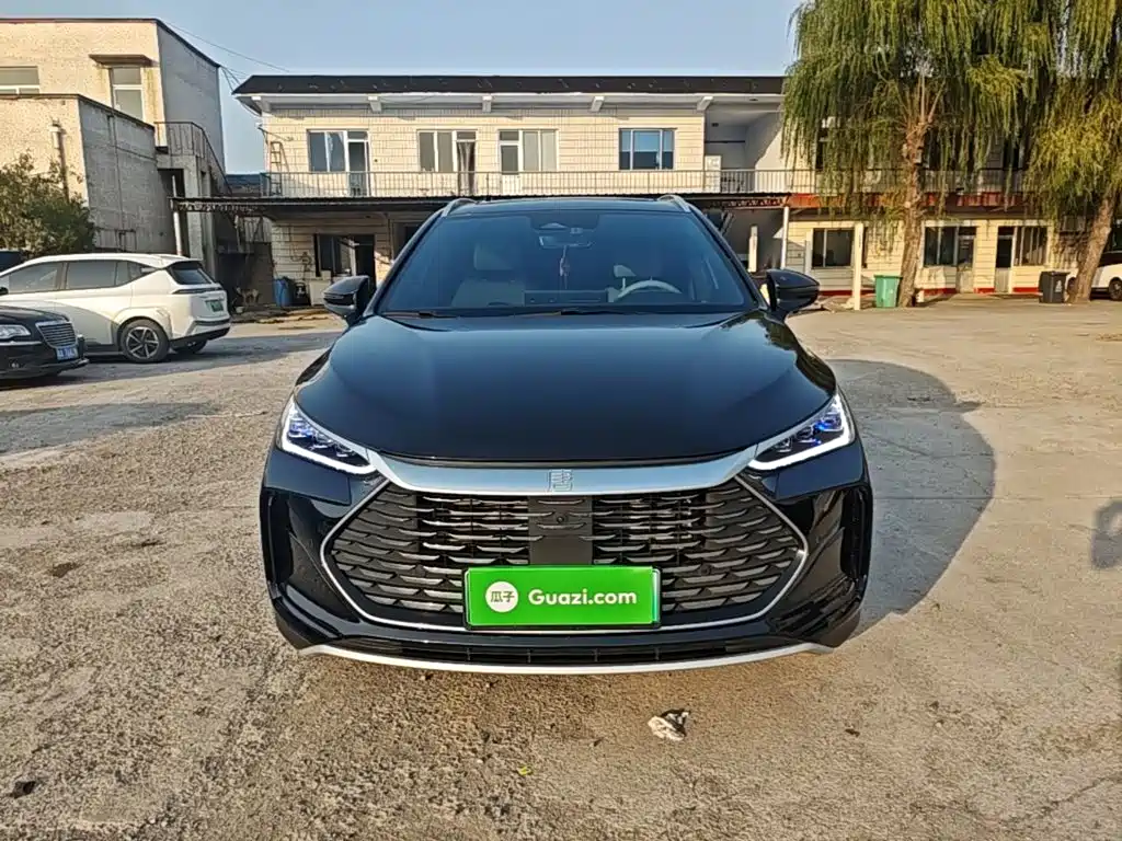 BYD Tang New Energy — миниатюра 3