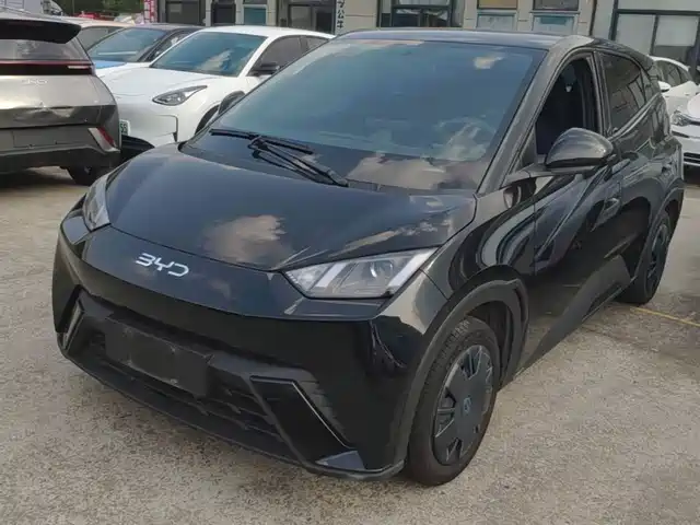 2025 BYD Seagull